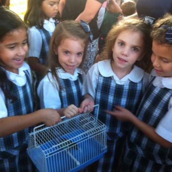 Las gemelas Kimberly y Charlotte con sus compaÃ±eras de escuela y su mascota un "parakeet" de nombre RIO. Saludan a 3Perros desde Houston Texas.